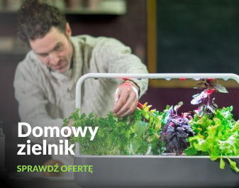 Domowy zielnik