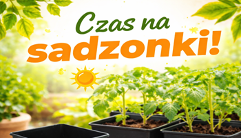 Doniczka 3,15 L idealna na start do sadzonek